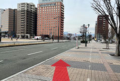 乗車場所に到着です。「のぞみ観光」が目印のバスにご乗車ください。